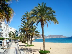 the palm fringed promenade set alongside the 5km long beach
