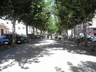 The main tree-lined promenade is in the centre of Oliva